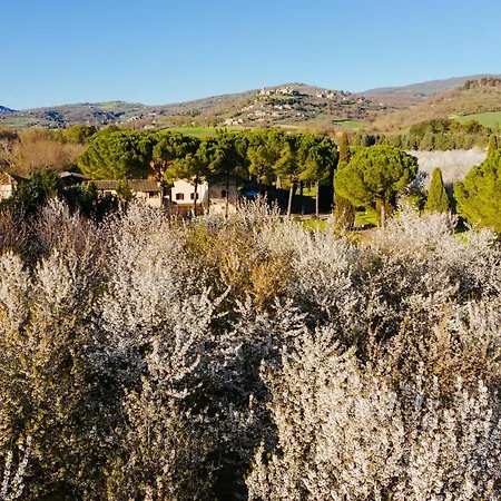 La Torretta Assisi