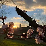 La Torretta 아시시