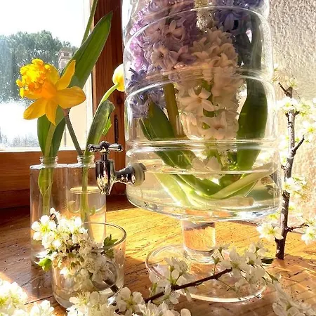 La Torretta 3* Assisi