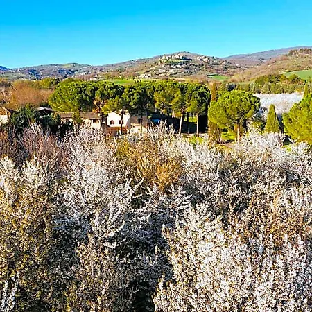 La Torretta Отель 3*