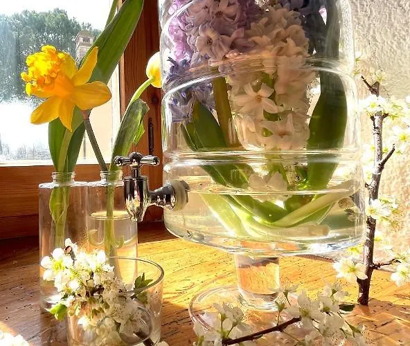 La Torretta 3* 아시시